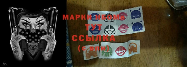 шишки Вяземский