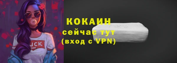 прущие крисы Пересвет