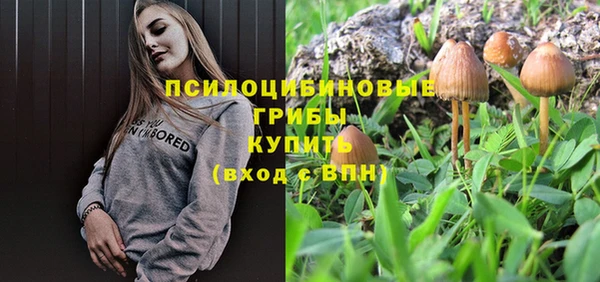 apvp Вязники
