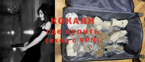 шишки Вяземский